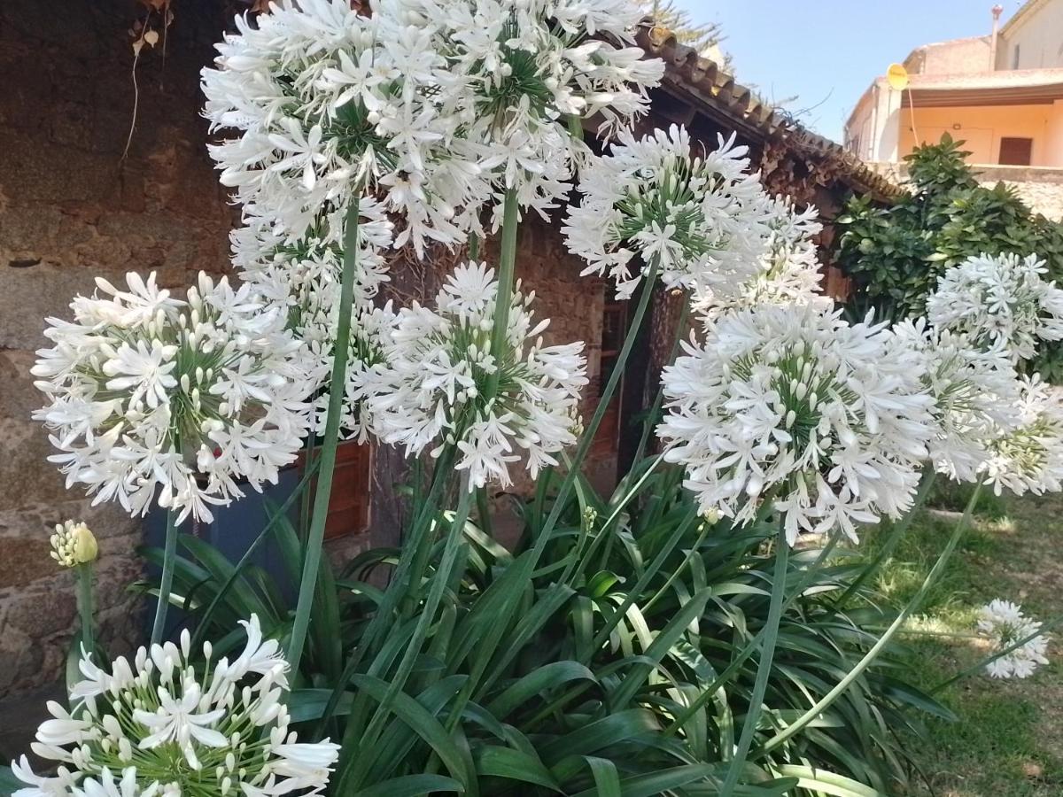 Casa Rural El Refugi Platja D'Aro 4 Romanyá de la Selva Dış mekan fotoğraf